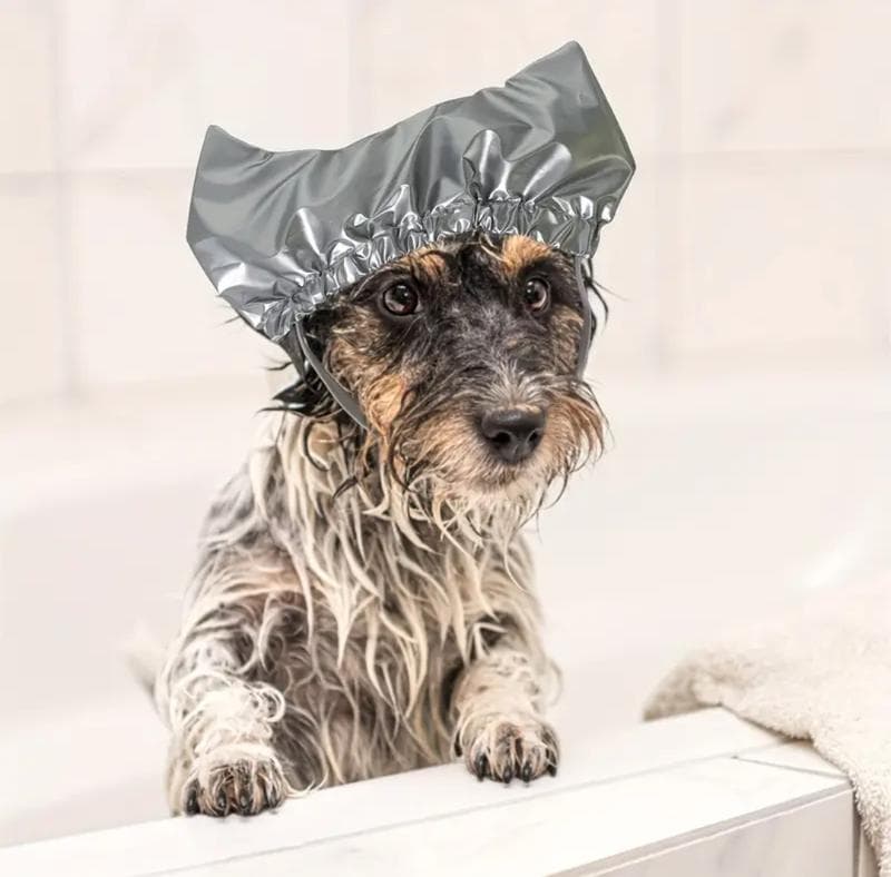 Шапочка для купання котика і собачки рожева — фото 5 з 7