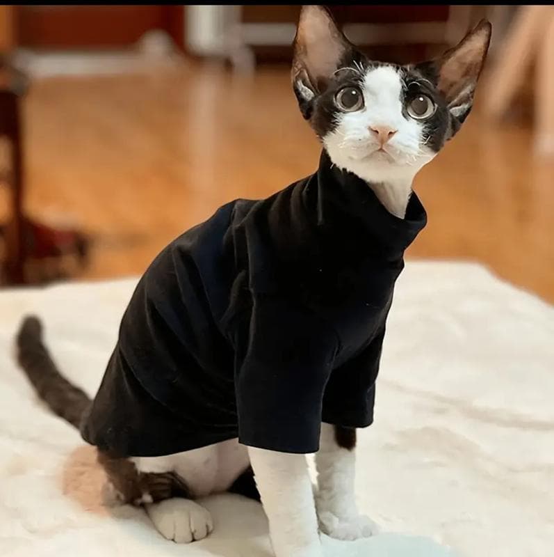 Кофта чорна для котиків